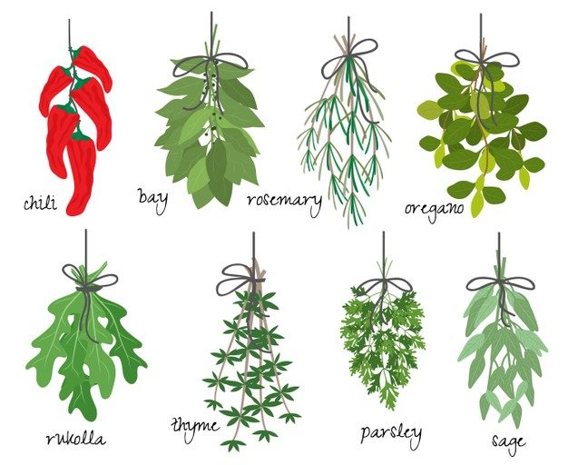alt="ierburi aromatice"